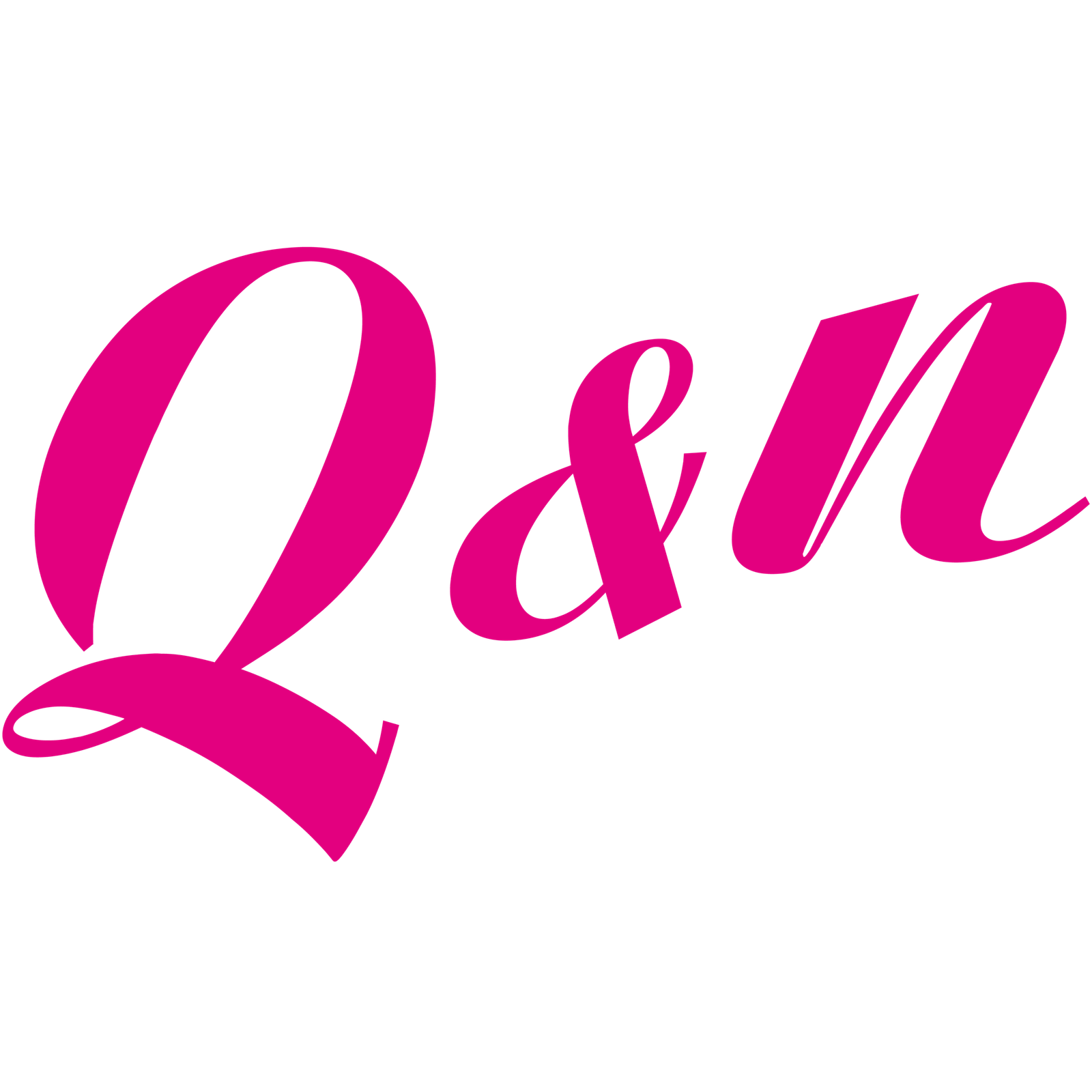 Q&N Fashion Accessory